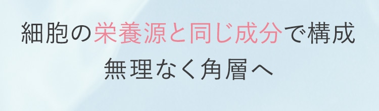 細胞の栄養源と同じ成分で構成 無理なく角層へ