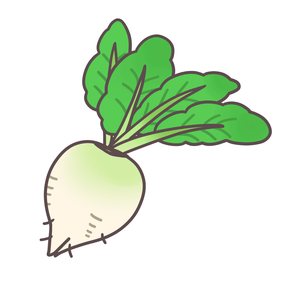 甜菜イラスト