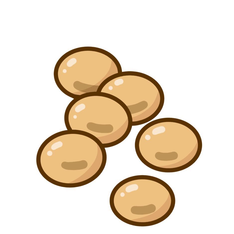 大豆イラスト