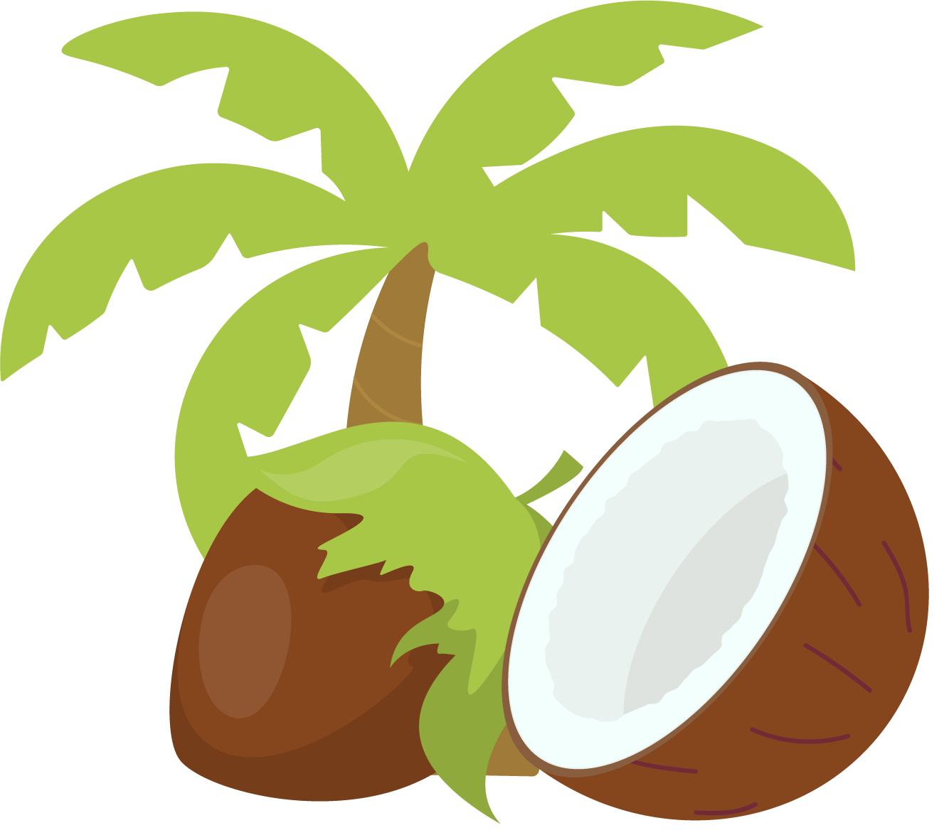 ヤシの実イラスト