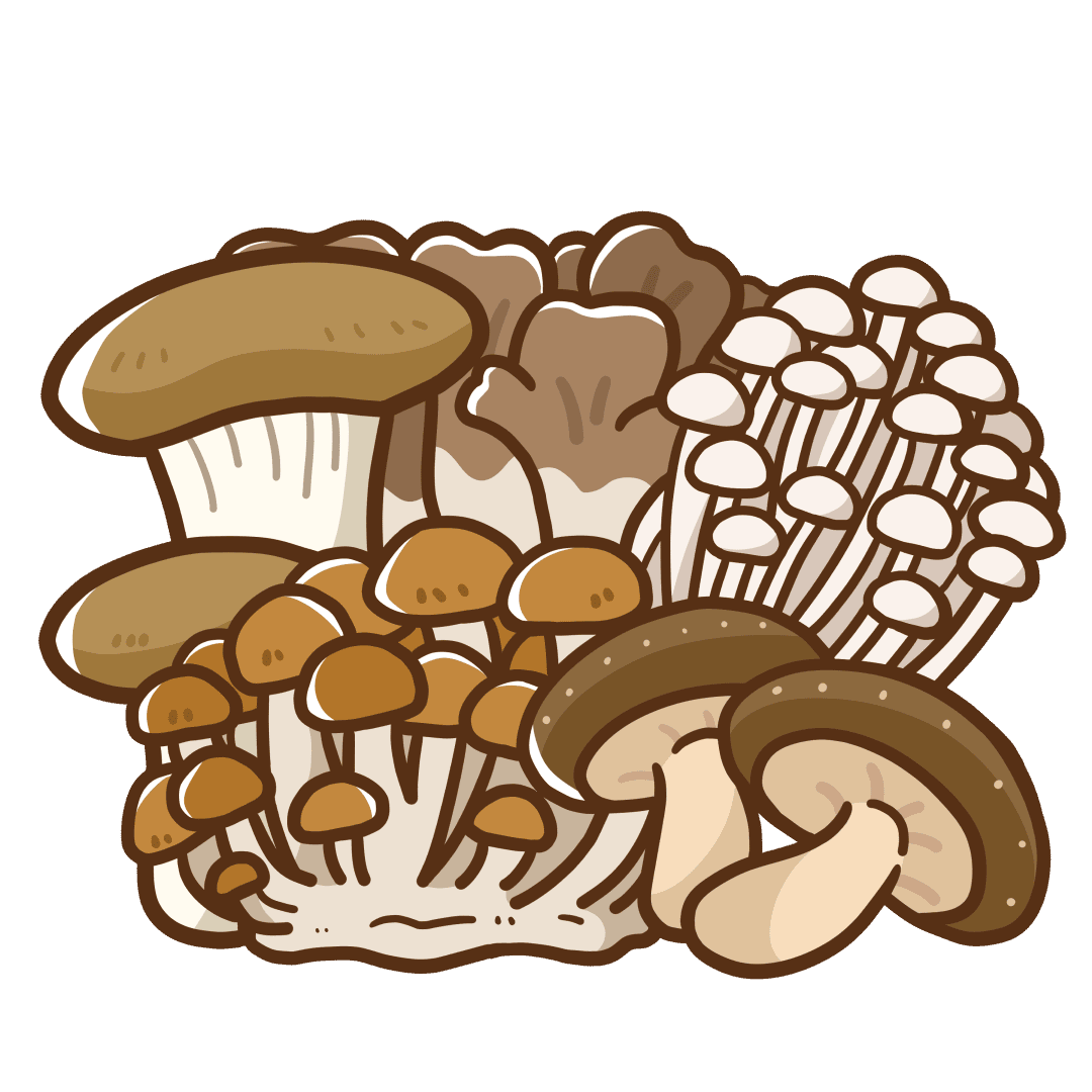 キノコイラスト