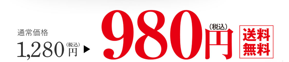 980円税込み送料無料