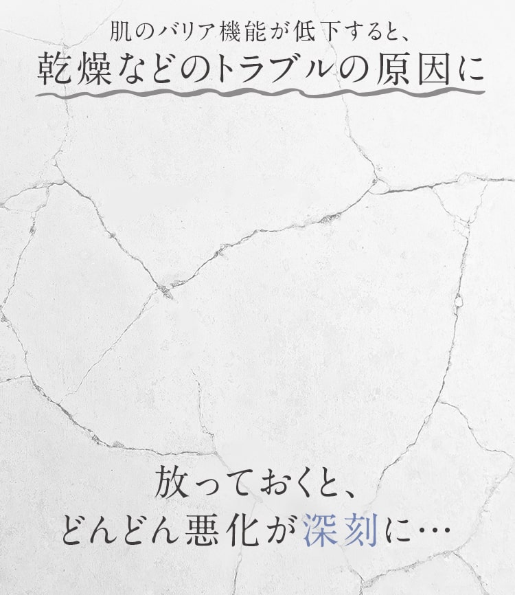 肌のバリア機能が低下すると、乾燥などのトラブルの原因に 放っておくと、どんどん悪化が深刻に…
