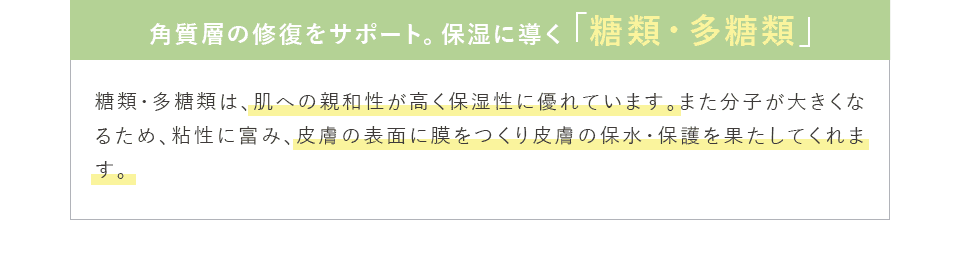 角質層の修復をサポート。保湿に導く「糖類・多糖類」