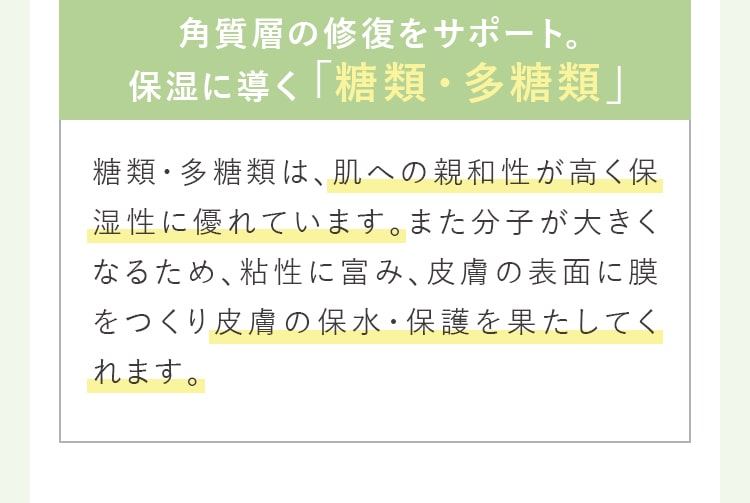角質層の修復をサポート。保湿に導く「糖類・多糖類」