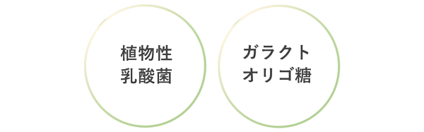 植物性乳酸菌、ガラクトオリゴ糖