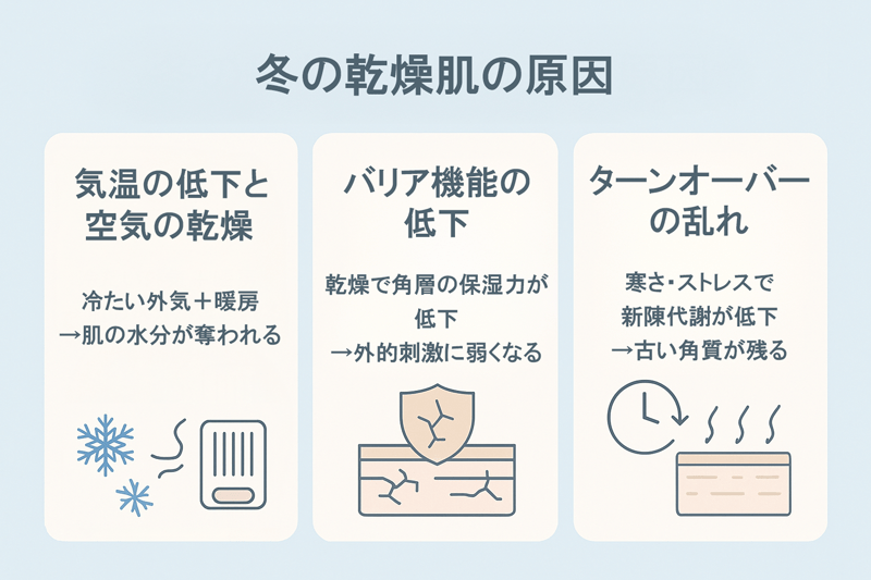 冬の乾燥肌の原因