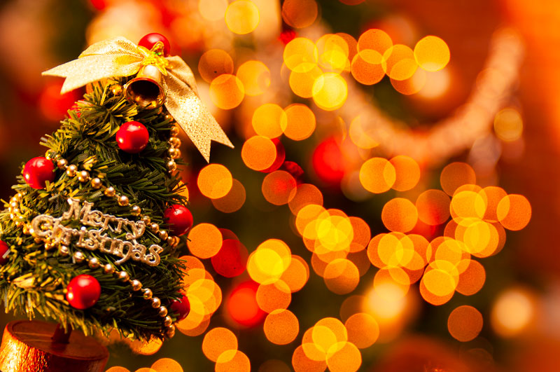 クリスマスメイクは目もとで差をつける！大人のための上品華やかメイク