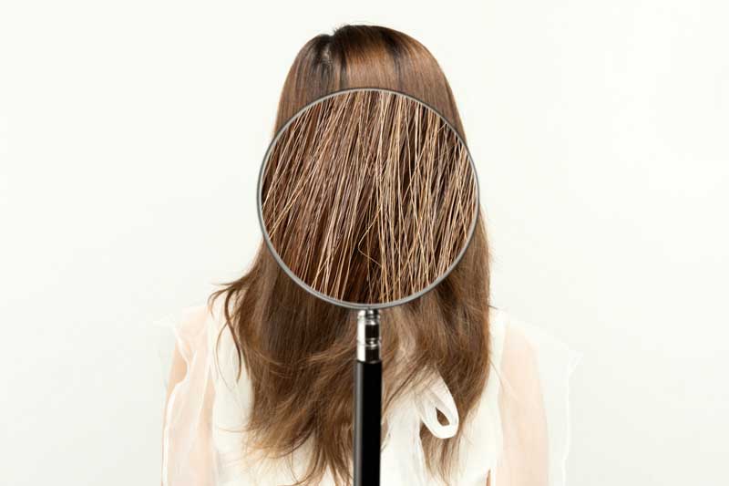 季節だけじゃない!髪が乾燥する原因