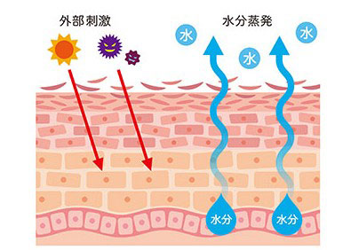 乾燥が進むと、敏感肌になることも