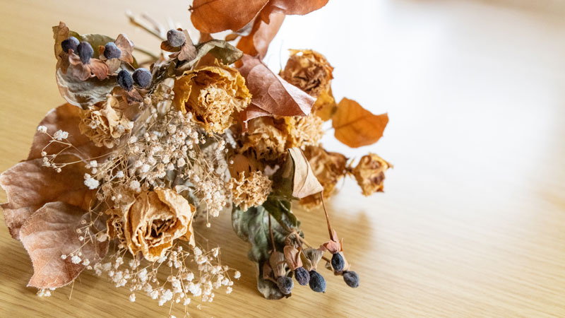 2月の肌は「蓄積乾燥」のピーク。いつものケアが届かない理由